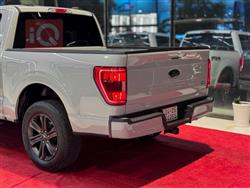فۆرد F-150